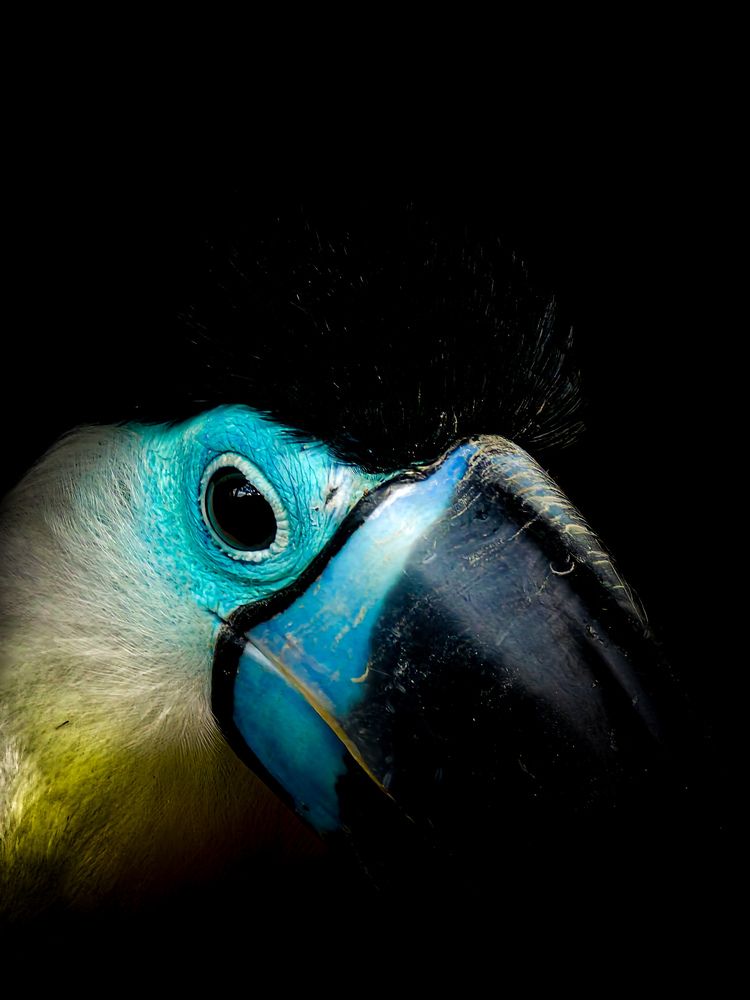 Photograph by Былков Евгений