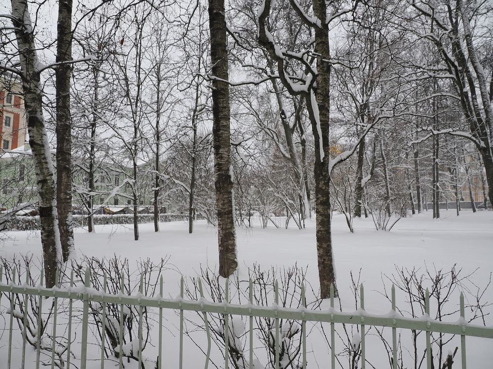 Photograph by Сергей Борисов