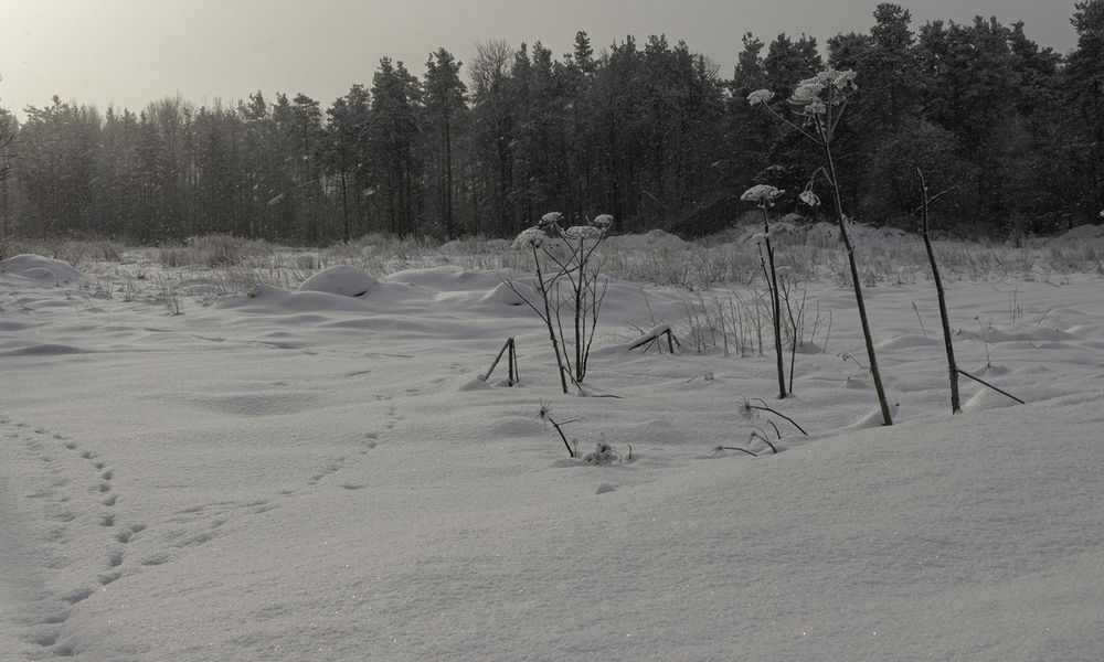 Photograph by Марианна Бессонова