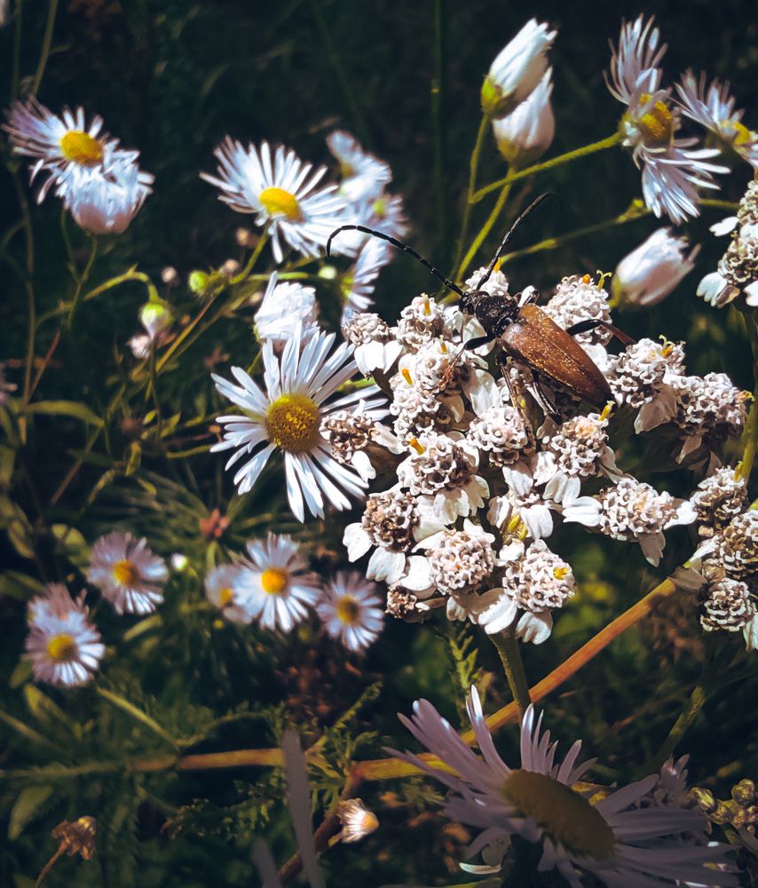 Photograph by Дарья