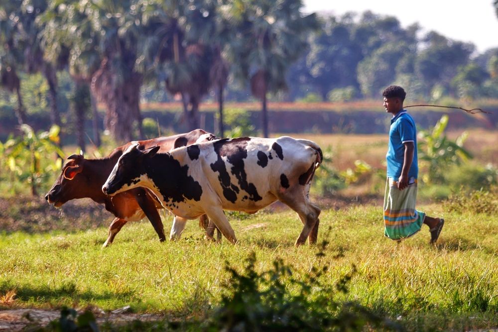 Photograph by Washiful Majid