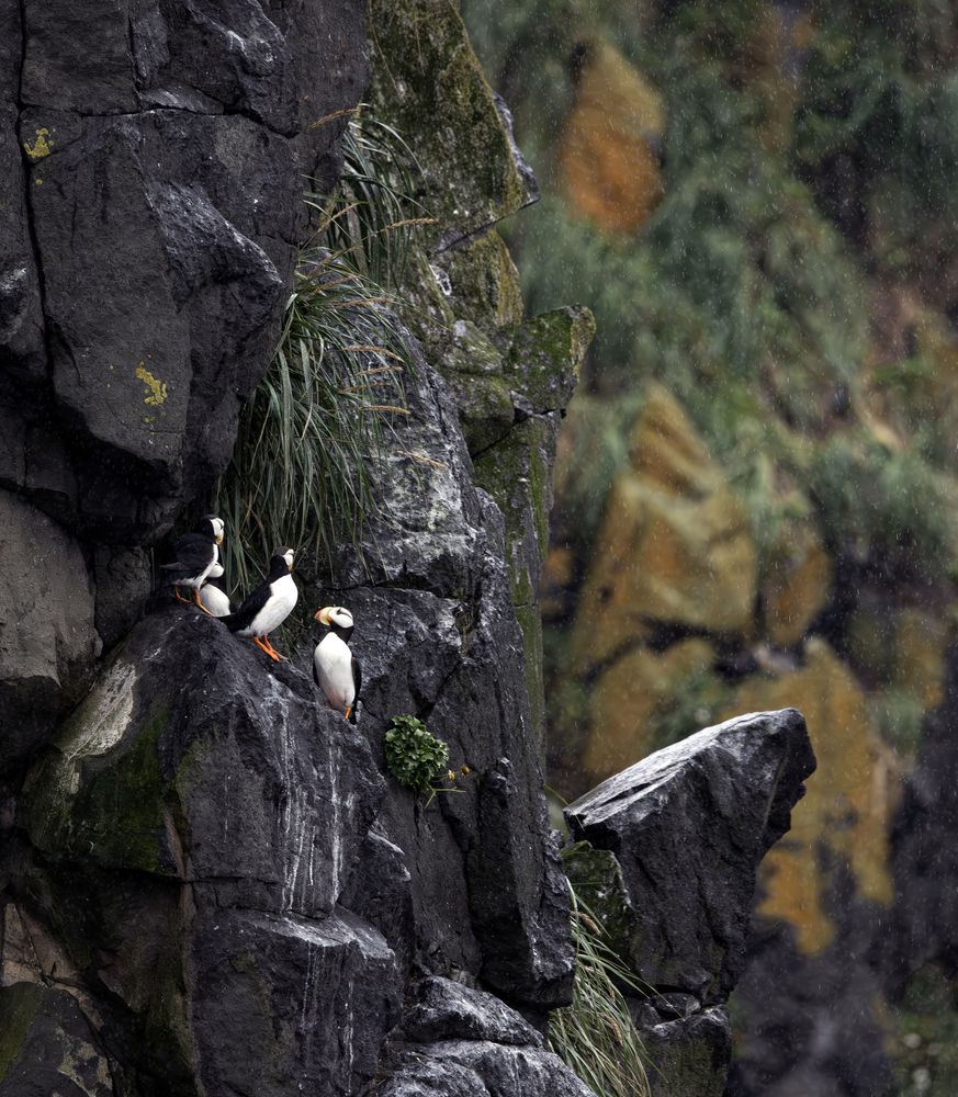 Photograph by Одаренко Ольга