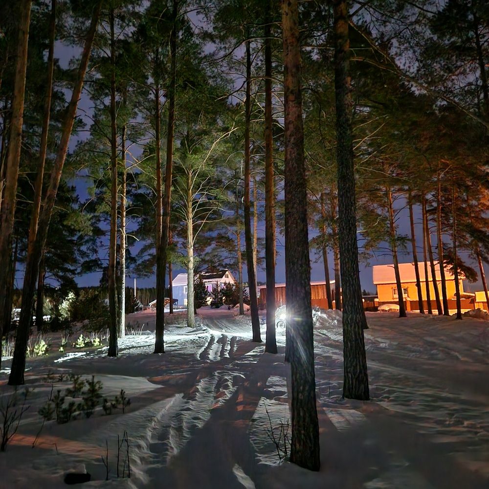 Photograph by Максим Ташкинов