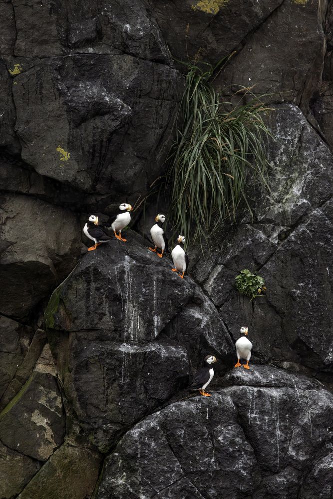 Photograph by Одаренко Ольга