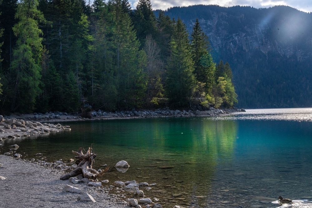 Photograph by Ирина Подгорная