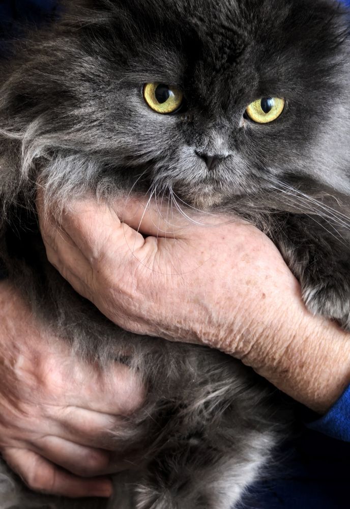 Photograph by Юлия Жереченко