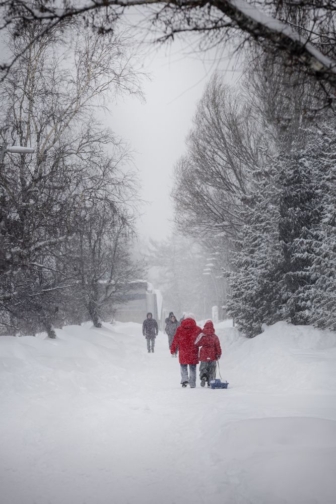Photograph by Игорь Толкачев