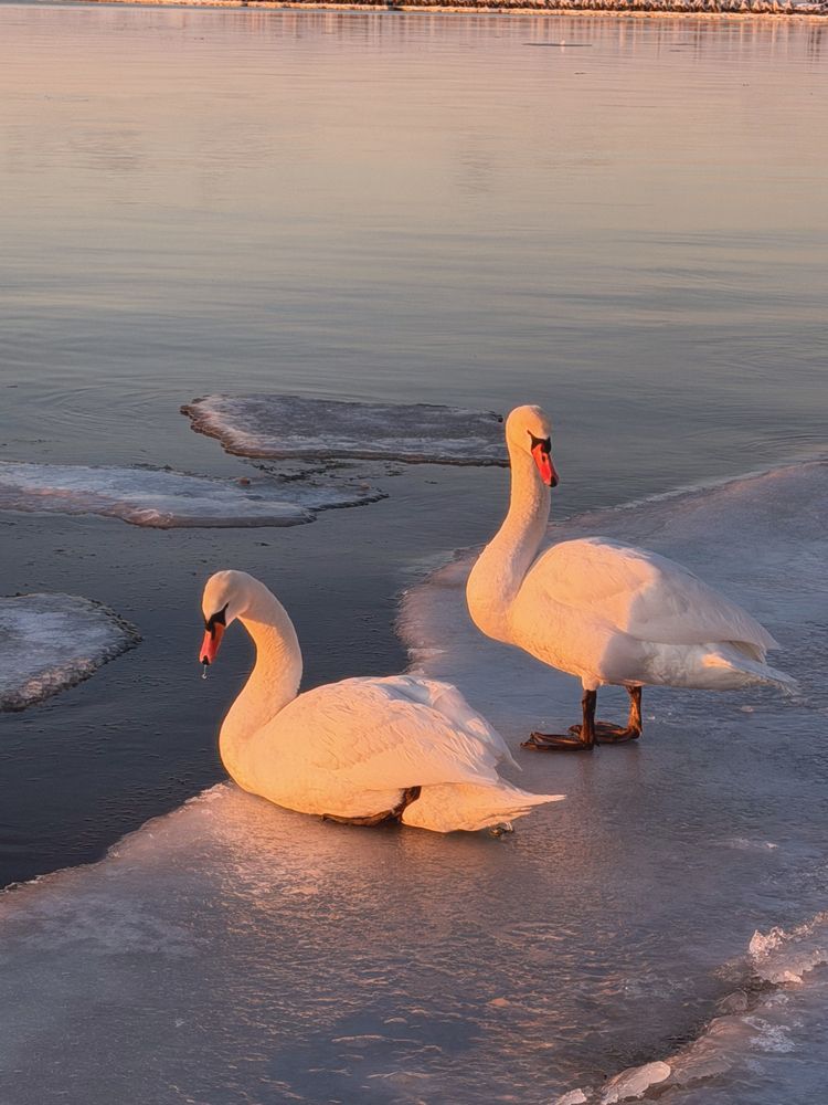 Photograph by Veronika Vilima