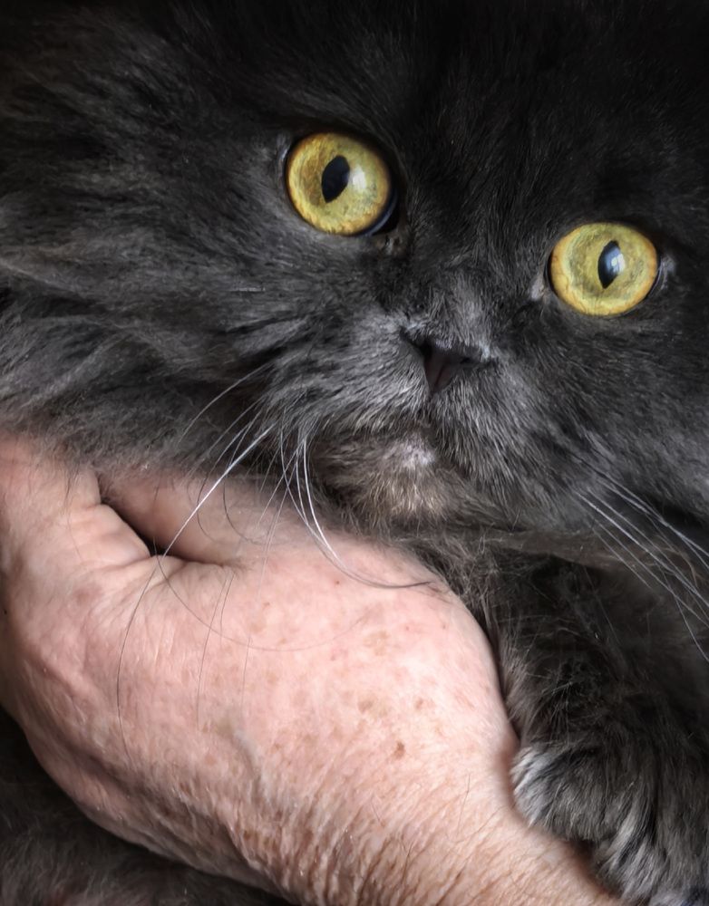 Photograph by Юлия Жереченко