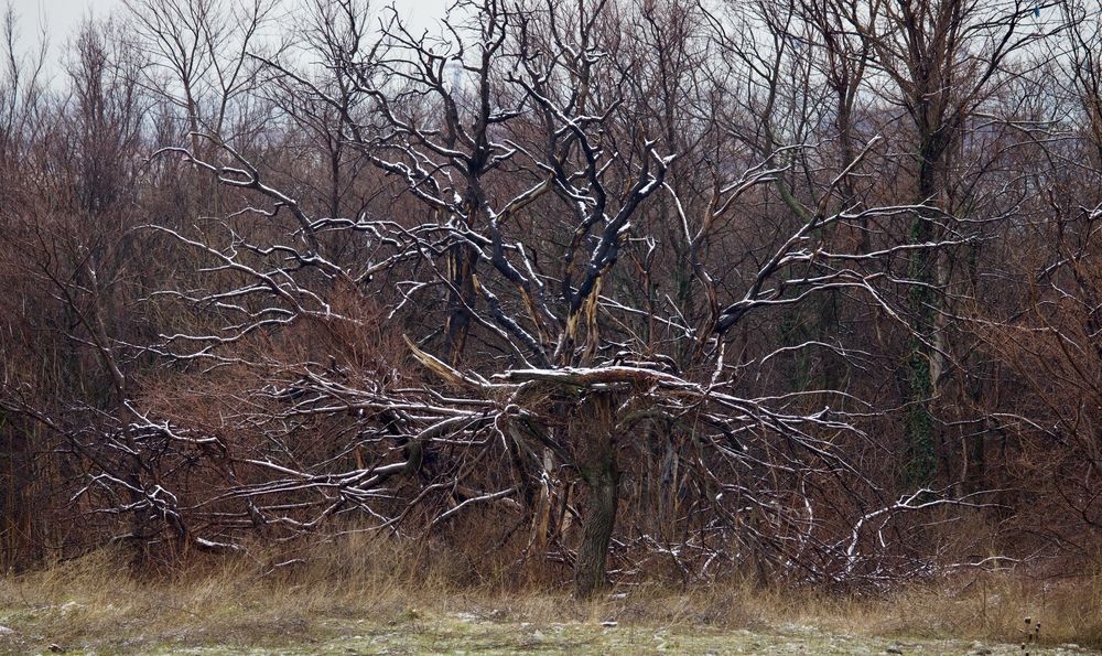 Photograph by Борис Захаров