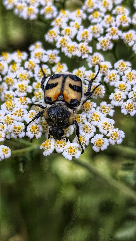 Photograph by Олеся