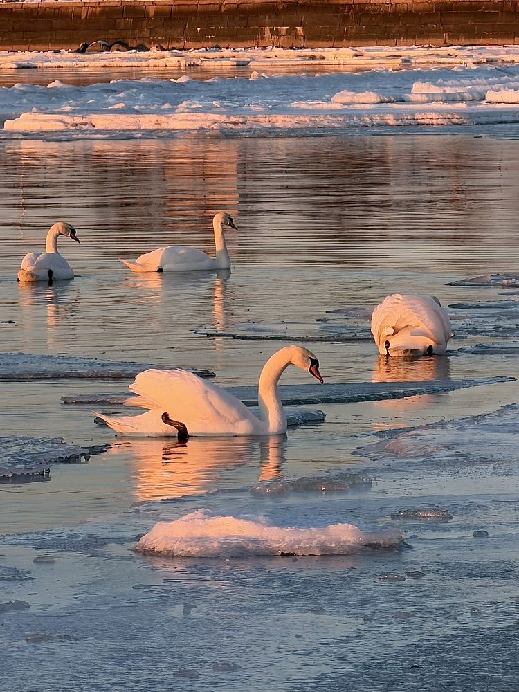 Photograph by Veronika Vilima