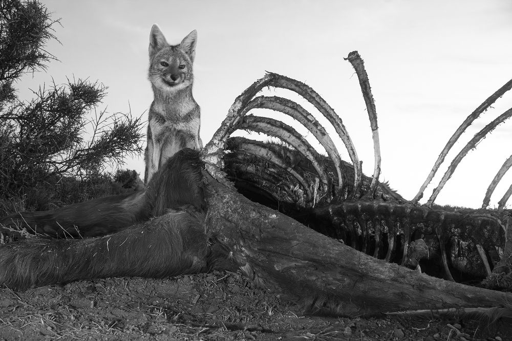Photograph by Marcos de Larminat