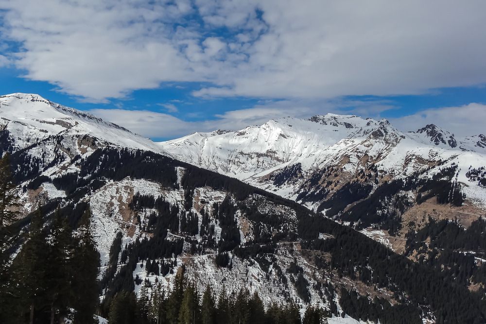 Фотография автора Татьяна