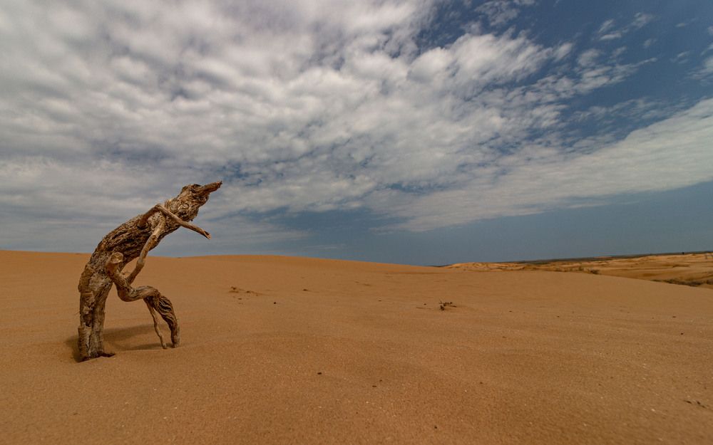 Photograph by Александр Довганюк
