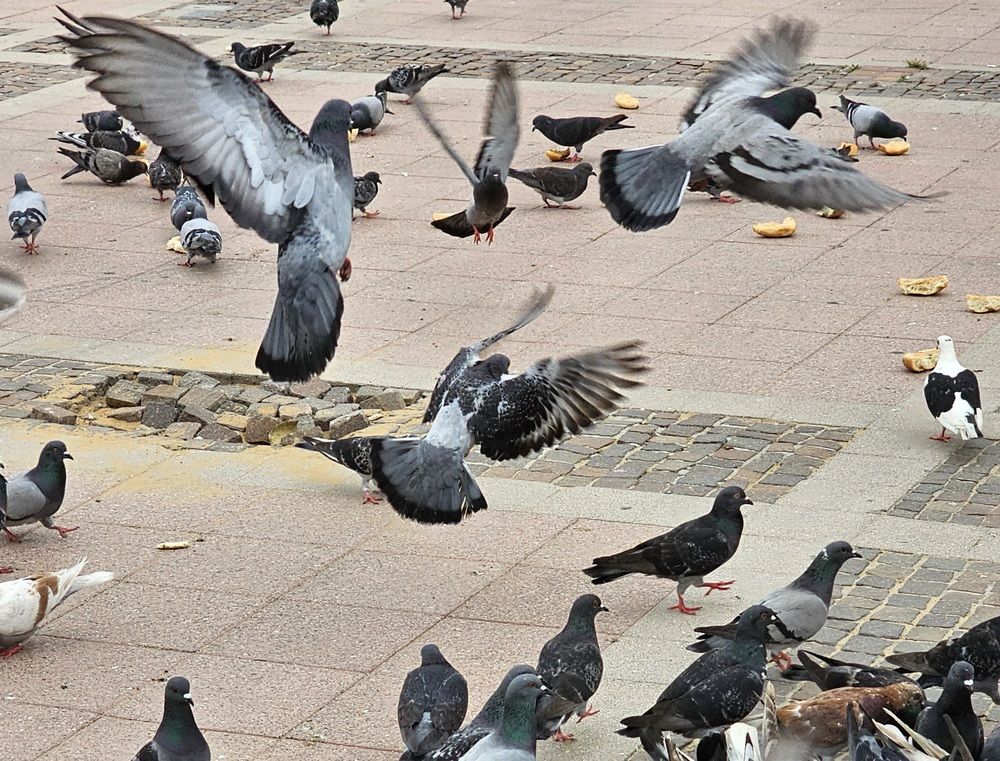 Photograph by Oksana Podgorodetska