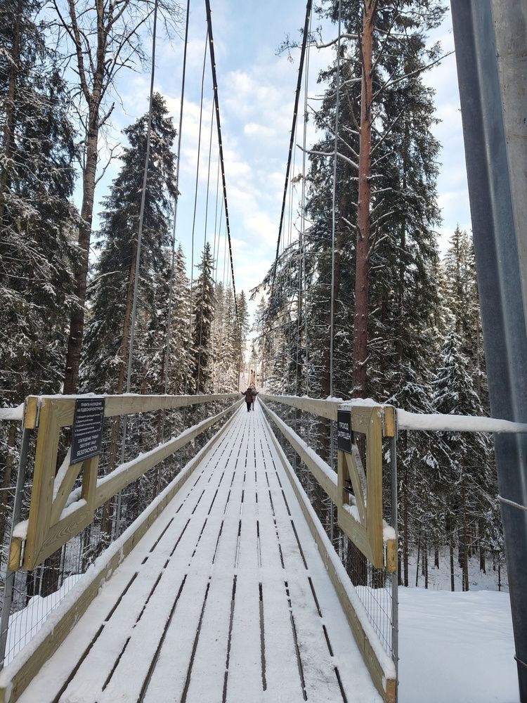 Photograph by Алексей Дерендяев