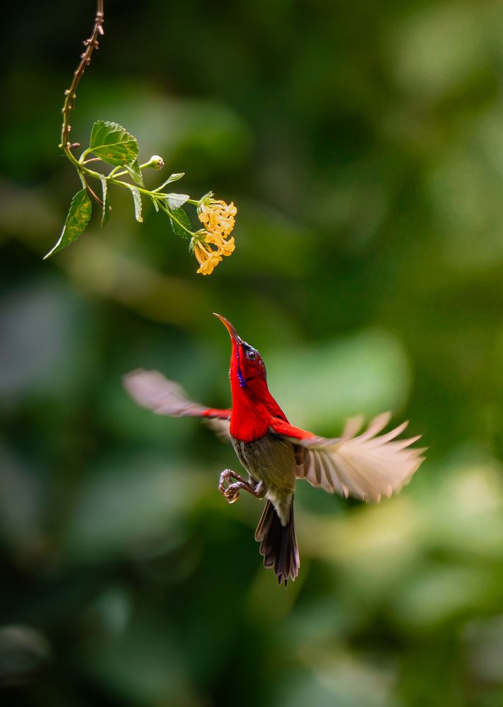 Photograph by Tran Phuong