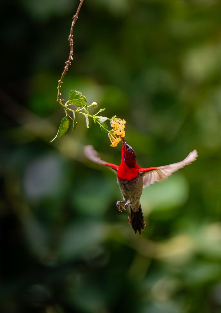 Photograph by Tran Phuong