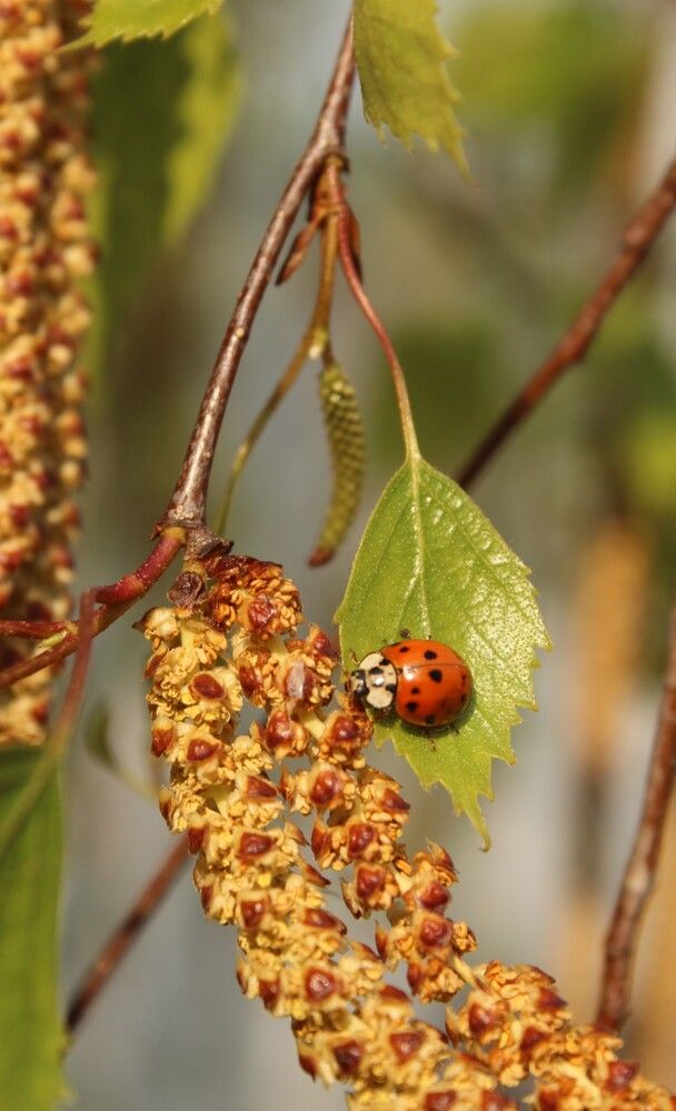 Photograph by Любовь Войводич