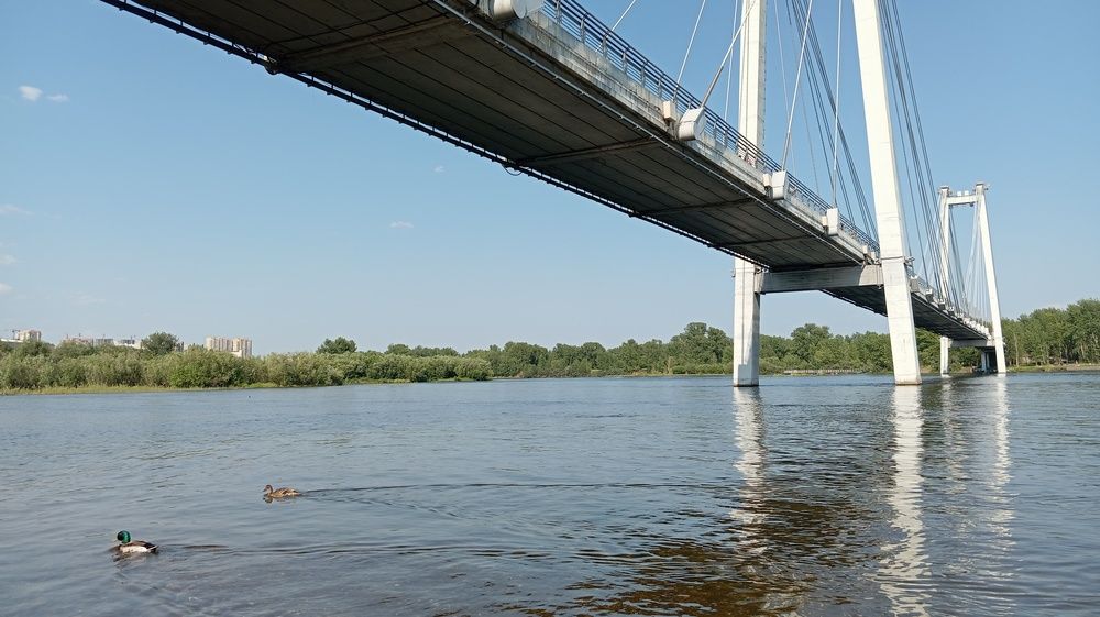 Photograph by Алексей Антонов