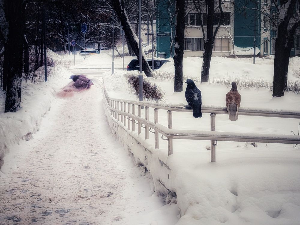 Photograph by Ирина Багдасарова