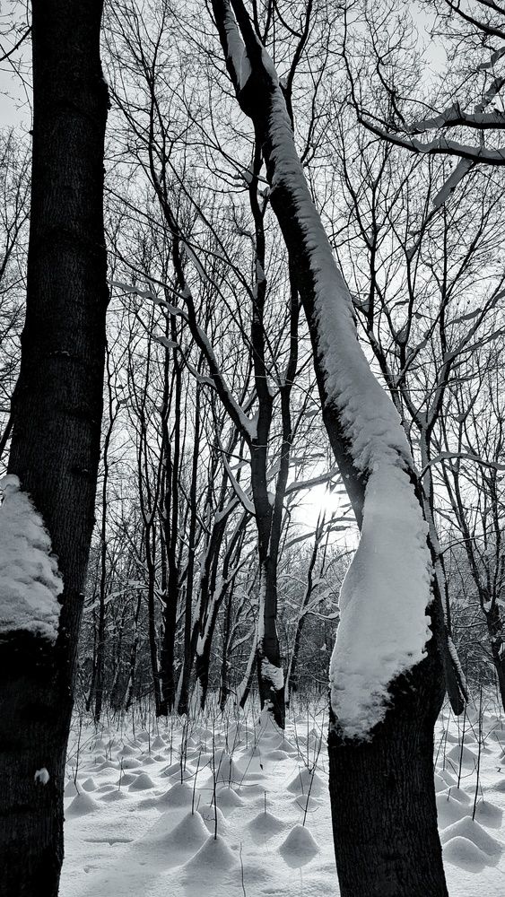 Photograph by Ирина Багдасарова