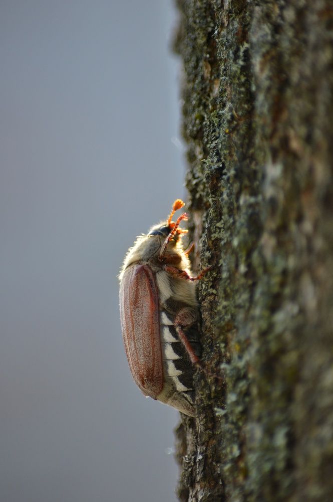 Photograph by Анна Зорька