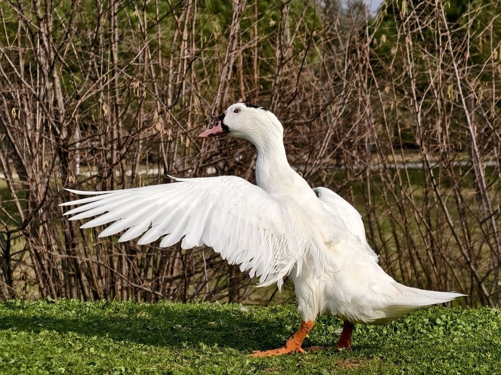 Photograph by Галина Бессуднова