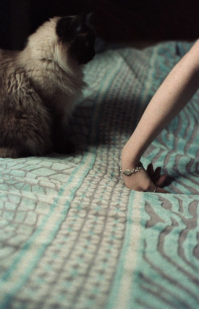 Photograph by Роман Бадусов