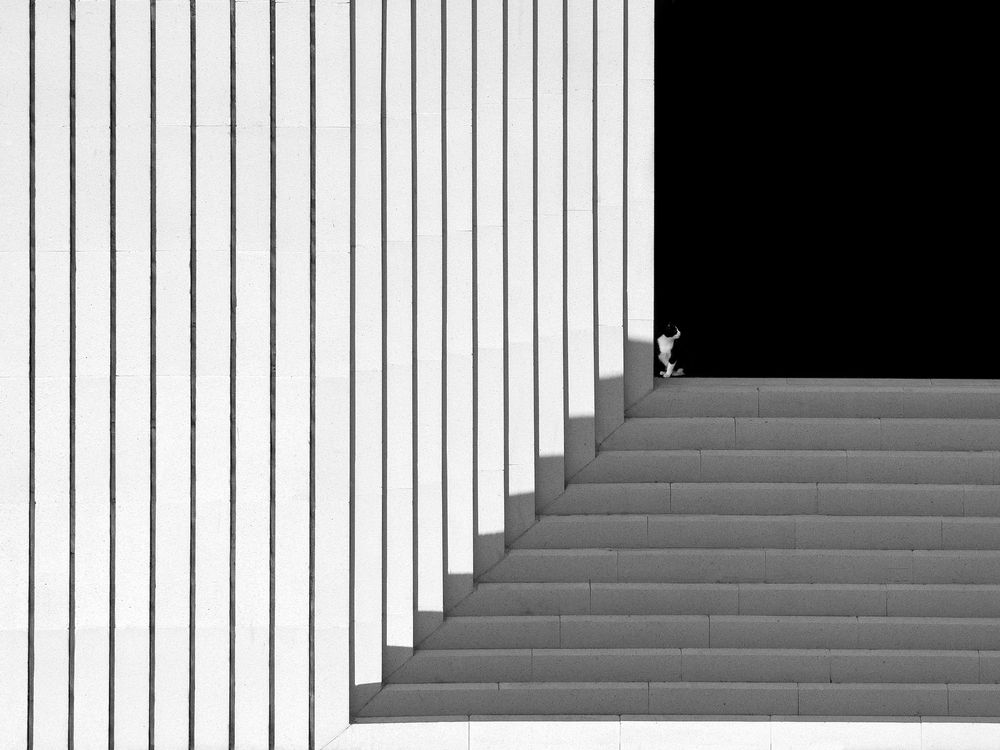 Photograph by safoura saeedi seta