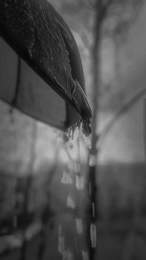 Фотография автора Марина Алексеевская