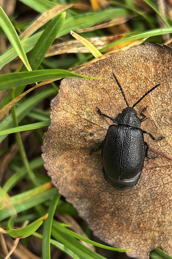 Photograph by Анна Зорька