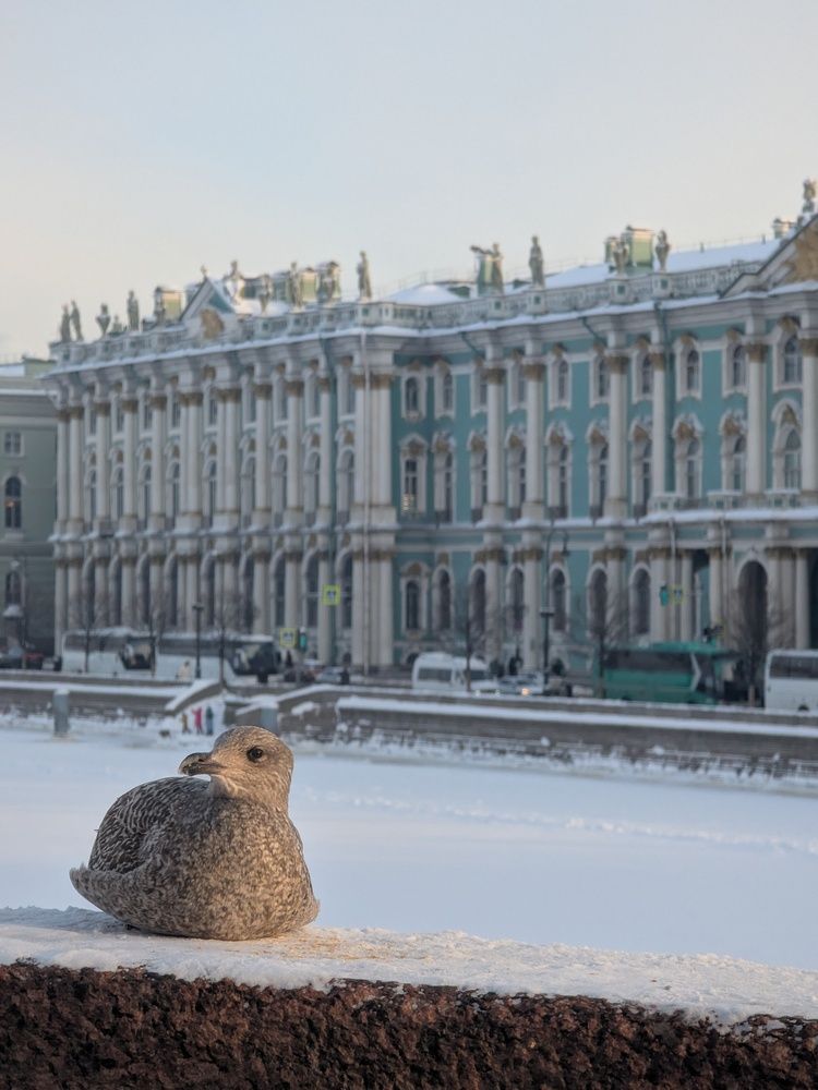 Фотография автора Архип