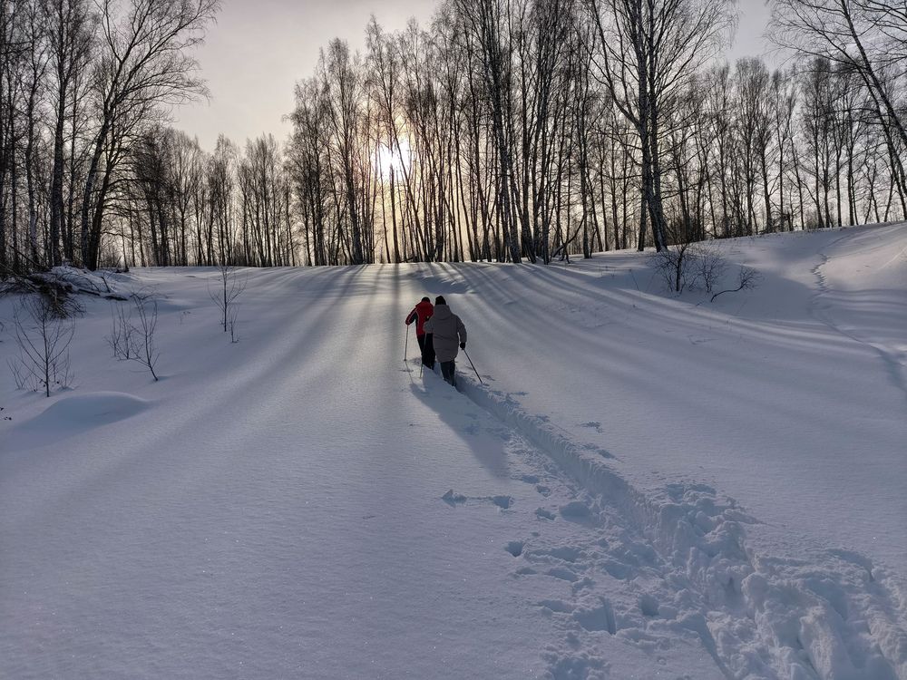 Photo #13226226