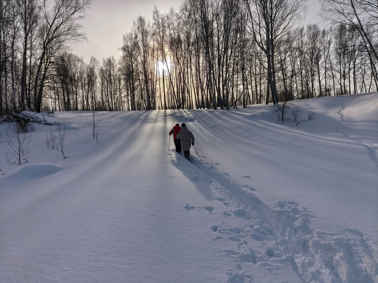 Photo #13226226