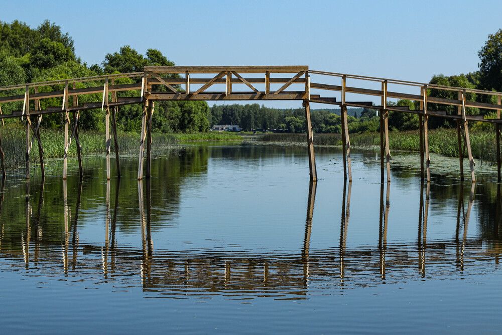 Фотография автора Наталия Козлова