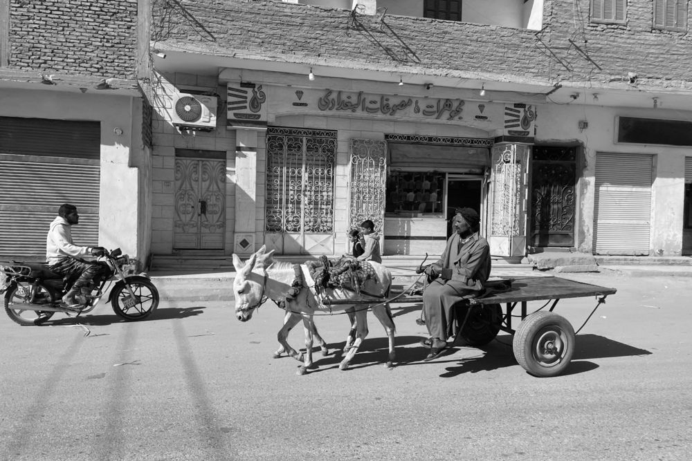 Photograph by Татьяна