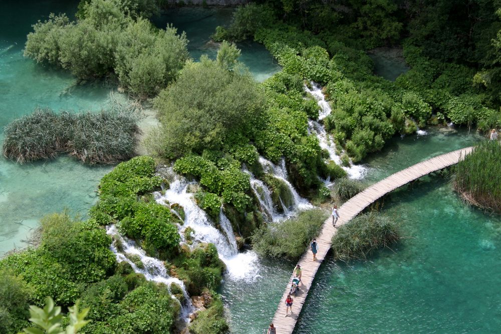 Фотография автора Марина Виноградова