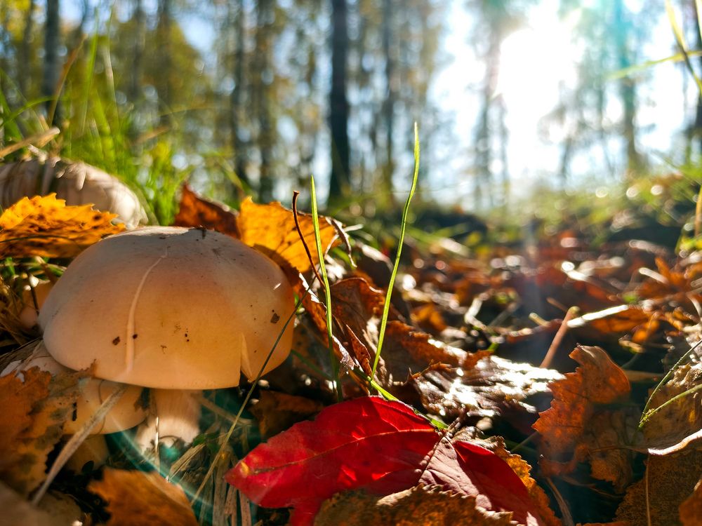 Photo #13226354