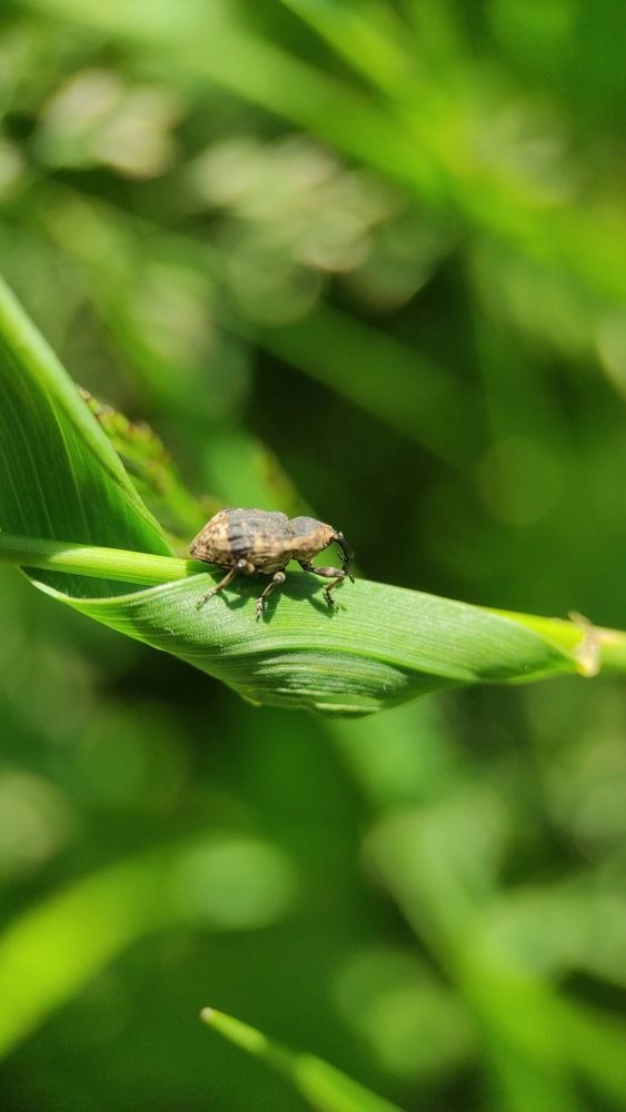 Фотография автора Марина Алексеевская