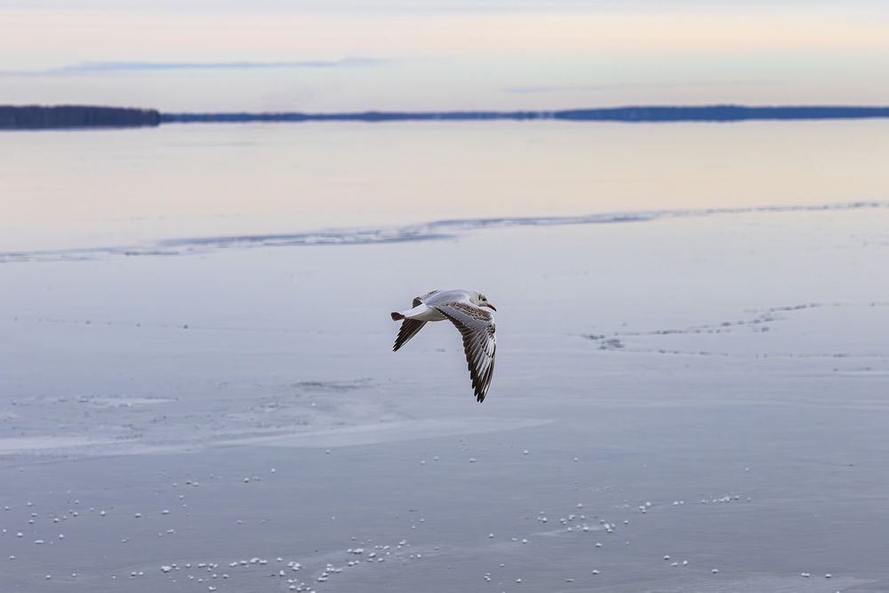 Photograph by Вадим Копилец
