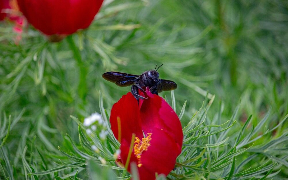 Photograph by Александр Довганюк