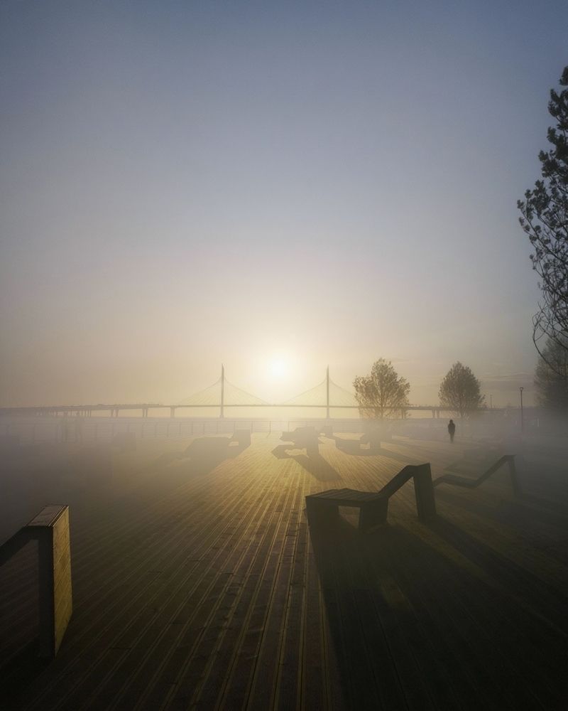 Фотография автора Марина Алексеевская