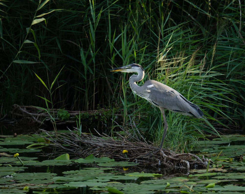 Photograph by Екатерина Аксёнова