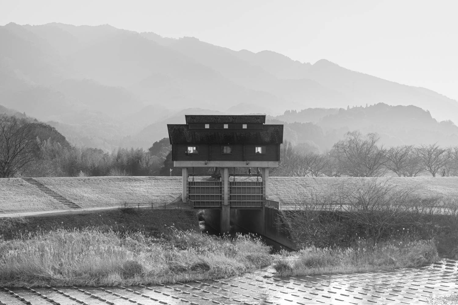 Photo #13226424