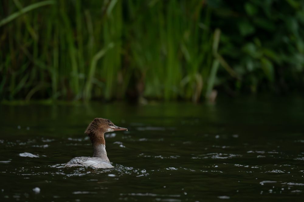 Photograph by Екатерина Аксёнова