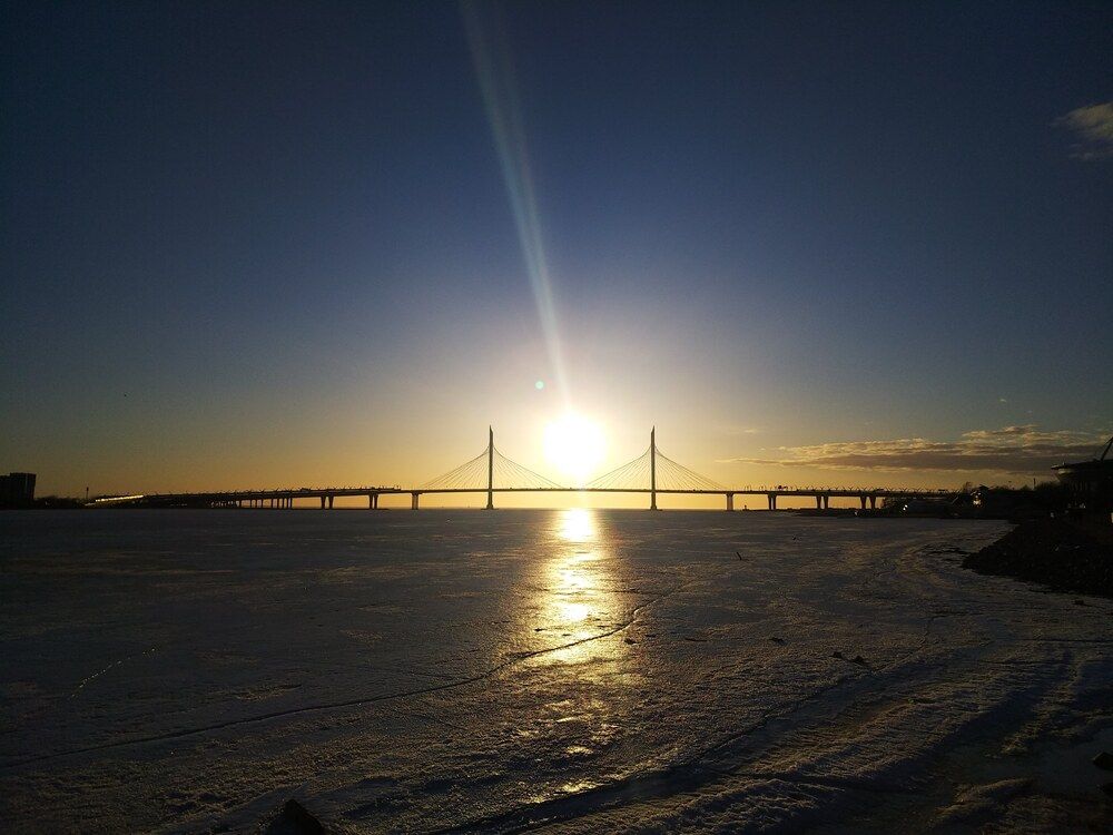 Фотография автора Марина Алексеевская