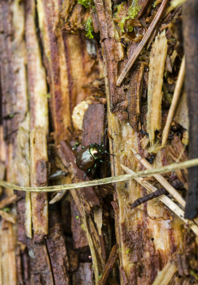 Photograph by Елизавета Большакова