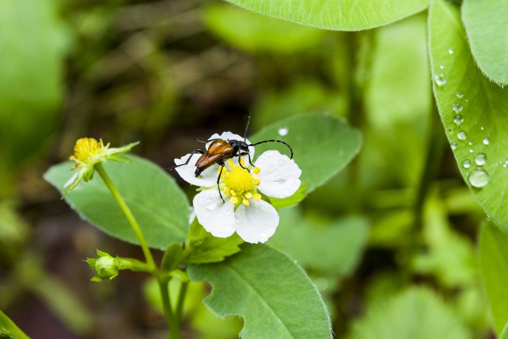 Photograph by Елизавета Большакова